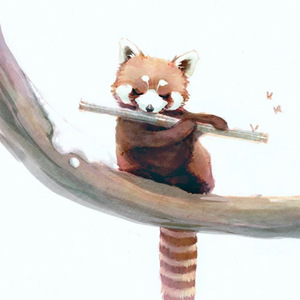 印度美女狂野性交
